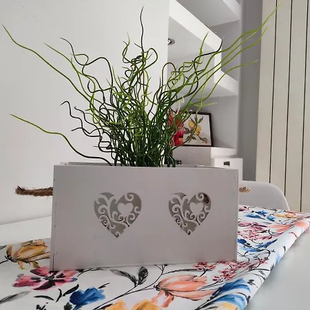 Splendido Vicino Al Cuore Di * Turin